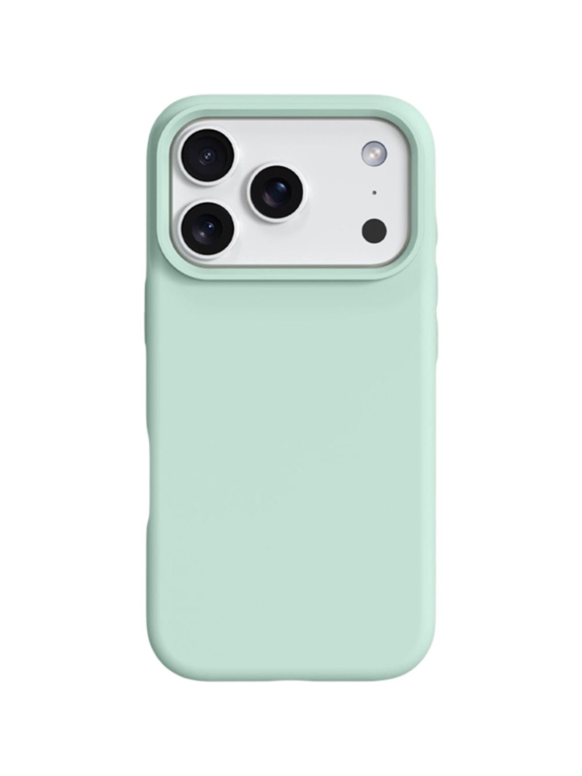 Coque iPhone silicone liquide, douce au toucher, protection intégrale, antichoc, design mat, rebords caméra renforcés, modèle Zerbi - Coque iPhone - Vert clair iPhone 13