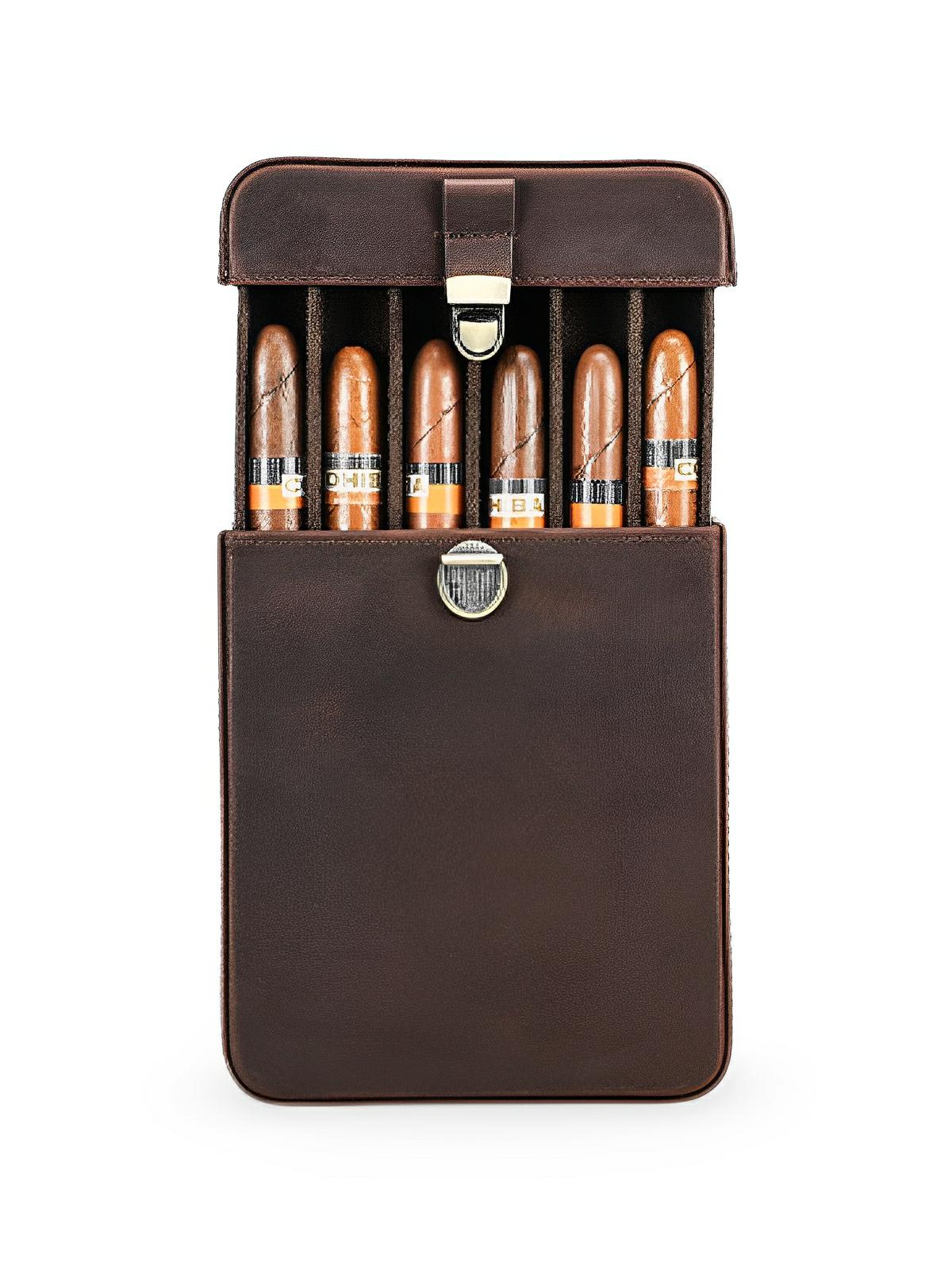 Cave à cigares, en cuir, forte de caractère, modèle Firminius - Coffret - Café