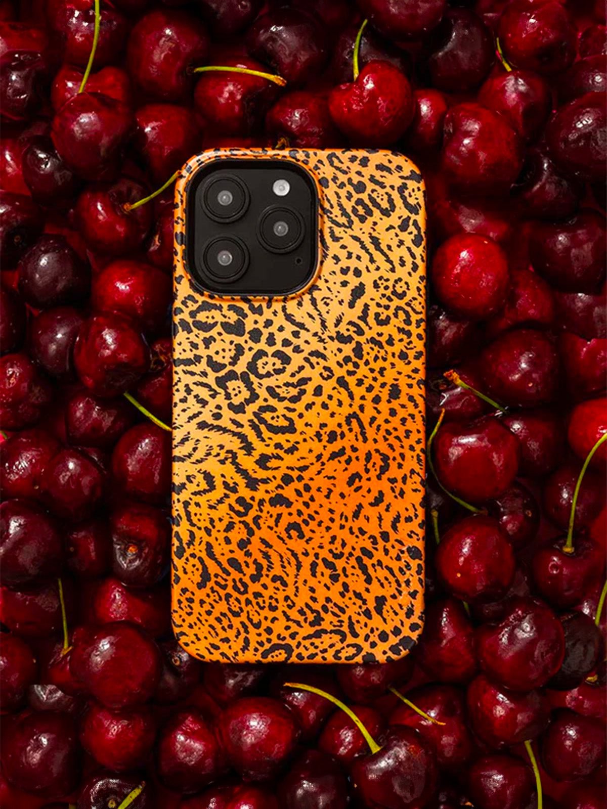 Coque iPhone léopard, protection rigide antichoc, imprimé animal, compatible MagSafe, style mode urbaine, modèle Vallala - Coque iPhone - Beige et noir iPhone X
