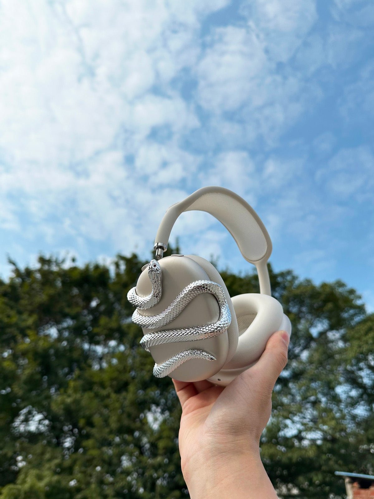 Coque protectrice AirPods Max Snake, étui rigide décor serpent, résine légère, compatible Apple AirPods Max 1/2, design original, accessoire audio premium, modèle Aurélion - Accessoire AirPods Max - Noir